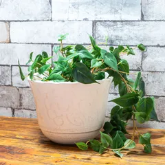 2点セットブロンズ バラ花台飾り羅線＋鉢カバー2点セットイタリア製