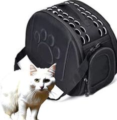 Item thumbnail for item 38b56196-f8cc-4cfa-897e-128ca22336ad