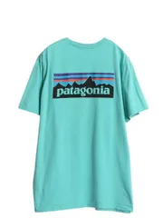 【お得なクーポン配布中!】 パタゴニア ポケット付き 両面 プリント 半袖 Tシャツ メンズ L 古着 17年製 アウトドア P6 バックプリント ボックスロゴ カットソー ポケT