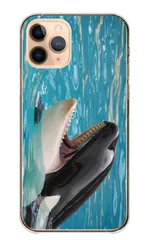 arrows Be4 Plus F-41B ケース カバー アローズBe4 プラス スマホケース ハードケース シャチ 鯱 海 海の生き物 海のギャング 写真 水族館 かっこいい カッコイイ 白黒 カラー03