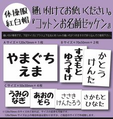 Item thumbnail for item 51d4b207-1cbc-4536-902a-bf8eb924cc99