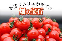 shop-thumbnail