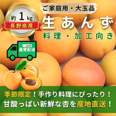 生あんず～料理・加工向き～【内容量】約1kg【配送方法】通常配送【サイズ】L以上【品目】杏（あんず）【品種】当店お任せ【産地】長野県【規格】ご家庭用A品B品混合【詰め方】バラ詰め【配送までの日数】1～4日
