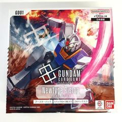 ガンダムカードゲーム ブースターパック Newtype Rising【GD01】【新品未開封-4582769825279】