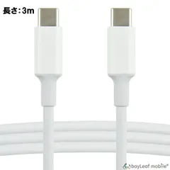 タイプCケーブル C to C ケーブル 3ｍ 100W 5A PD対応 急速充電 Power Delivery 高速データ転送 USB