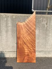 センダン 栴檀 一枚板 52cm 板材 木材 [591]