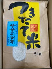 宮城県産　ササニシキ　白米5キロ