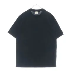 BURBERRY (バーバリー) フロントロゴ刺繍 クルーネック 半袖Tシャツ ブラック 8041698 72Cのサムネイル