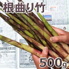 予約　天然山菜・根曲がり竹５００ｇ(大小バラ詰め)　長野県志賀高原産
