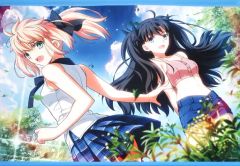 [중고] 태피스트리(대형) 세이버&토사카 린(타케우치 다카시 일러스트) B2 태피스트리 [Fate/stay night]