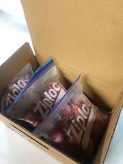 いちご　苺　冷凍　1.5kg 訳あり
