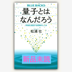 量子とはなんだろう　宇宙を支配する究極のしくみ