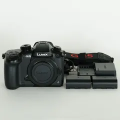 2025年最新】dc-gh5の人気アイテム - メルカリ