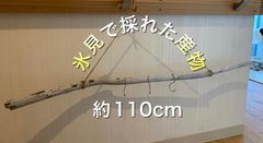 流木ハンガー 流木 インテリア 約110cm 値下げ終了間近
