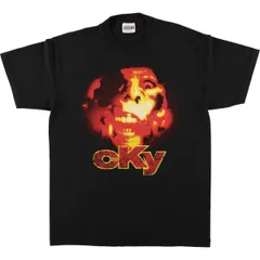 古着 ヘインズ Hanes CKY バンドTシャツ バンT メンズM相当/eaa567044のサムネイル