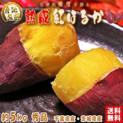 【秀品】紅はるか 約5kg 千葉県・茨城県産 ダントツの甘さを誇る紅はるか！ ギフトや贈答品にもオススメな見栄えの良い薩摩芋をお届け！ さつまいも