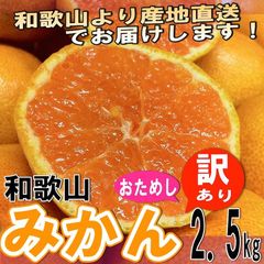 みかん 訳ありミカン お試し蜜柑 和歌山県産 訳あり みかん 2.5kg 発送開始予定日:10月中旬〜