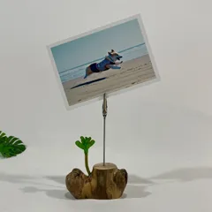 メモスタンド　MC04011　メモクリップ　フォトスタンド　カードスタンド　流木インテリア　流木オブジェ　ナチュラル　素朴