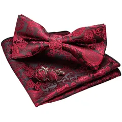 【新着商品】ビジネス フォーマル セット ハンカチ 結婚式 ボタン カフス 蝶ネクタイ ペイズリー柄 プレゼント メンズ 「ジェミギンズ [JEMYGINS]