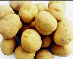 じゃがいも「とうや」5kg 北海道産
