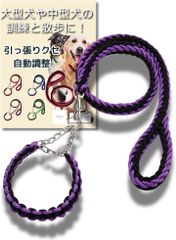 Item thumbnail for item 95bc62b5-a6ae-445b-adf9-ac3fdc88583d