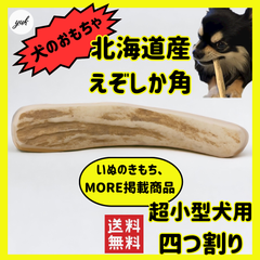 【クーポン発行中】🐶超小型犬用🐶四つ割り🦌北海道産エゾ鹿の角🦌犬のおもちゃ🐕鹿の骨　A