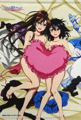 ストライク・ザ・ブラッド 姫柊雪菜＆煌坂紗矢華 B2タペストリー 美