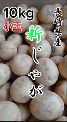 長崎県産 新じゃがいも 赤秀品 小玉10kg粉ふきいも フライドポテト じゃがバター