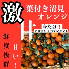 こい〜清見オレンジ　4キロ