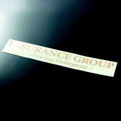 INSURANCE GROUP　ブランドステッカー　ゴールド　1枚　インシュランスグループ　VIP SEDAN　VIP WAGON　|　ロゴ　|　デカール　|　切り文字　|　切文字　|　新品　|　送料無料 |匿名配送