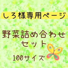 しろ様専用ページ‼️野菜詰め合わせ100❣️クール便