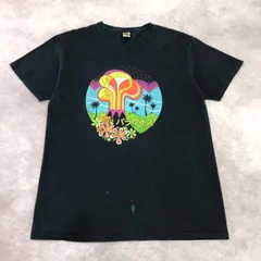 FRUIT OF THE LOOM フルーツオブザルーム Tシャツ 半袖 古着 USED Vintage ヴィンテージ アメカジ プリント 火山 グラフィック 花 パラダイス