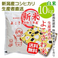 ギフト 贈答 新潟県認証 特別栽培米 コシヒカリ よこさわ米 白米 10キロ 新潟産こしひかり 新米