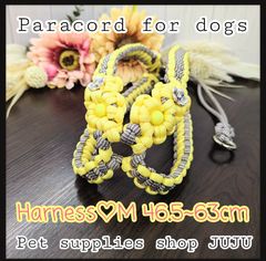 Item thumbnail for item 568e88ef-1516-4196-ad02-bae4d04f0777