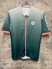 JH620 ルコックスポルティフ le coq sportif Steel 半袖 サイクルジャージ グリーン L