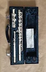 2025年最新】Yamaha YFL-221の人気アイテム - メルカリ
