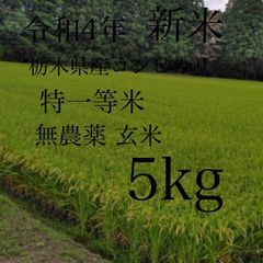 令和4年産　栃木　特一等米　コシヒカリ玄米　５キロ　無農薬　単一農家