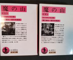 魔の山　上・下セット　トーマス・マン　岩波文庫