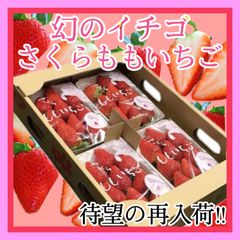 《再入荷》幻のイチゴ さくらももいちご 徳島県産 4パック入 贈答用 家庭用