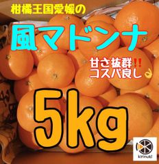 1月16日までに発送　時期的に訳あり愛果28号 5キロ家庭用