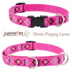 パピーラブ柄首輪　18mm幅　ワンタッチ首輪　ハーフチョークカラー　マーチンゲール　LUPINEルパイン アメリカ製　軽量　丈夫 Puppy Love　人気のレギュラーデザイン