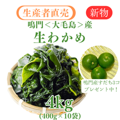 「生産者直売」鳴門生わかめ 400g×10個