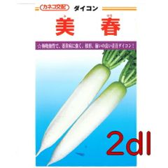 カネコ種苗　美春大根　２ｄｌ