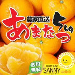 みかん 愛媛県産 訳あり 甘夏 5kg（箱込）  疲れた体に染み渡る ビタミンＣ クエン酸 ビタミンＢ１ 豊富　※沖縄・離島・北海道は発送不可