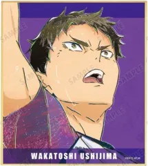 【中古】紙製品 牛島若利 「ハイキュー!! トレーディング Ani-Art 第7弾 ミニ色紙」