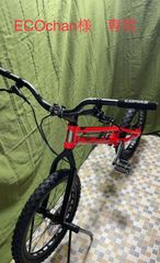 バイクトライアル完成車　Comas Entry PRO ,20ｲﾝﾁ　オレンジ（新品）【1ヶ月以内で発送】