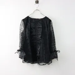 定価3.9万 2024SS トッカ TOCCA 消臭・洗える FRAGMENT OF THE STAR ブラウス 4/ブラック オーガンジー 刺繍【2400014171396】のサムネイル