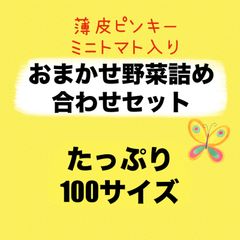 薄皮ミニトマト！ピンキー入り‼️おまかせ野菜詰め合わせセット‼️たっぷり100サイズ