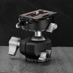 Leofoto(レオフォト) LH-30PCL 自由雲台［3/8,1/4インチ対応｜ボール径30mm｜レバータイプ｜ダブルパンニング｜プレートNP-60付属｜アルカスイス互換］