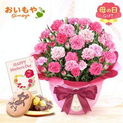 【おいもや公式】母の日限定 5号 カーネーション【ホットハート】 どら焼き スイーツ 和菓子 お菓子 鉢植え プレゼント 生花 花 ピンク おしゃれ かわいい (お届け時期:5/5～11のいずれか)